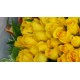 Happy Together 50pcs Roses Bouquet